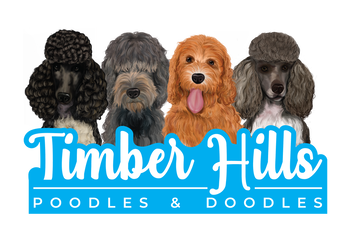 Timber Hills Poodles & Doodles